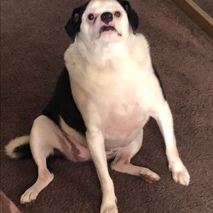 Meet your Posher, Emma